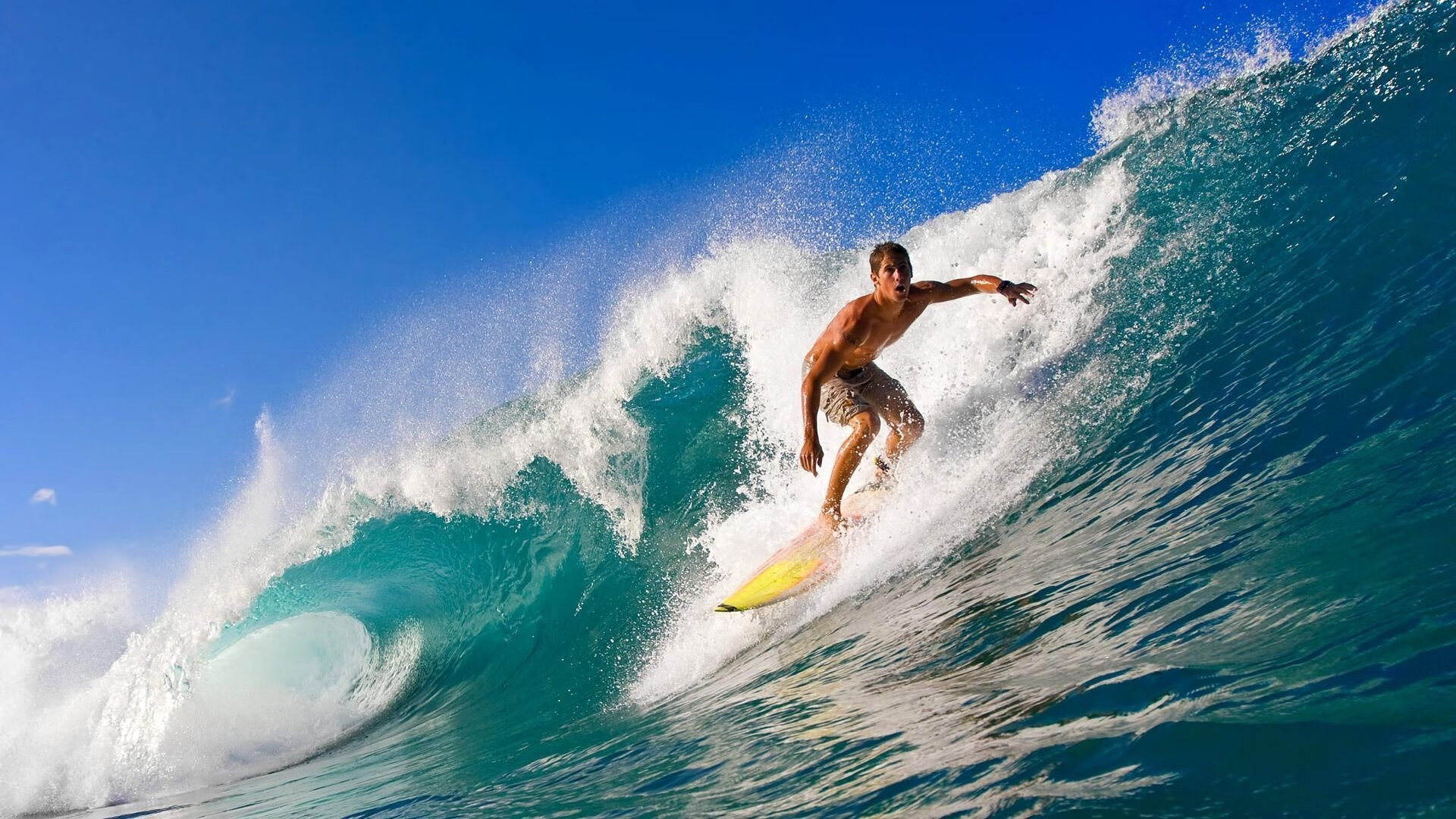 苏里南举办国际登山运动节，苏里南地理