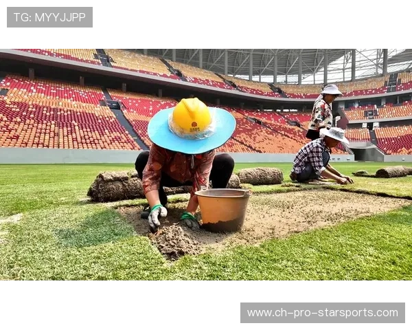 中国足球球场草坪质量与比赛伤病率关系研究，足球场草坪质量测定指标有哪些